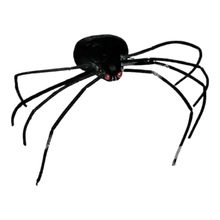 Spin met dunne poten 35cm