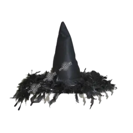 Heksenhoed met veren