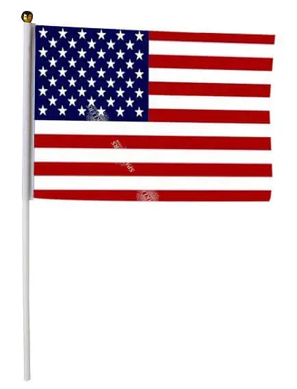 USA Vlag 30x45cm met stok