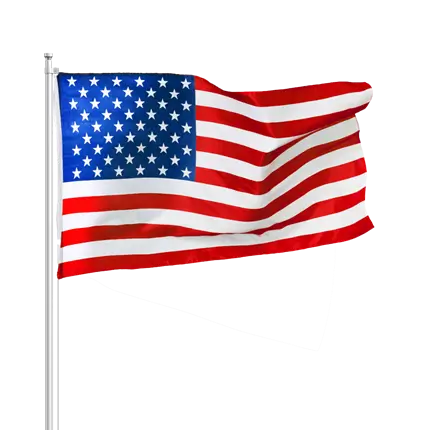 USA Vlag 30x45cm met stok