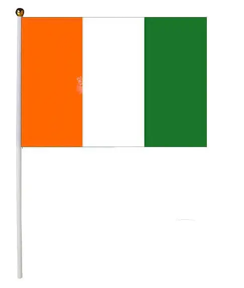 Ivoorkust Vlag 30x45cm met stok