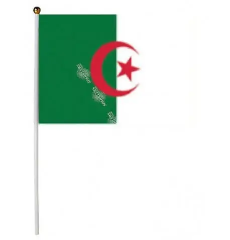 Algerije Vlag 30x45cm met stok