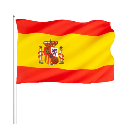 Spanje Vlag 30x45cm met stok