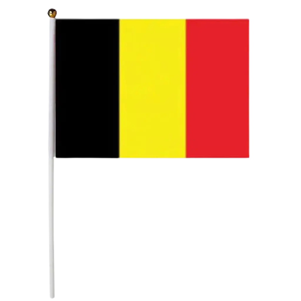 België Vlag 30x45cm met stok