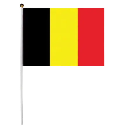 België Vlag 30x45cm met stok