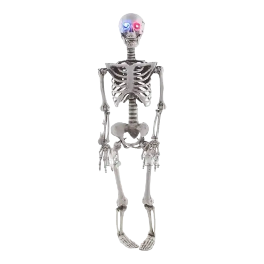 Verlicht Skelet Hanglamp 90cm