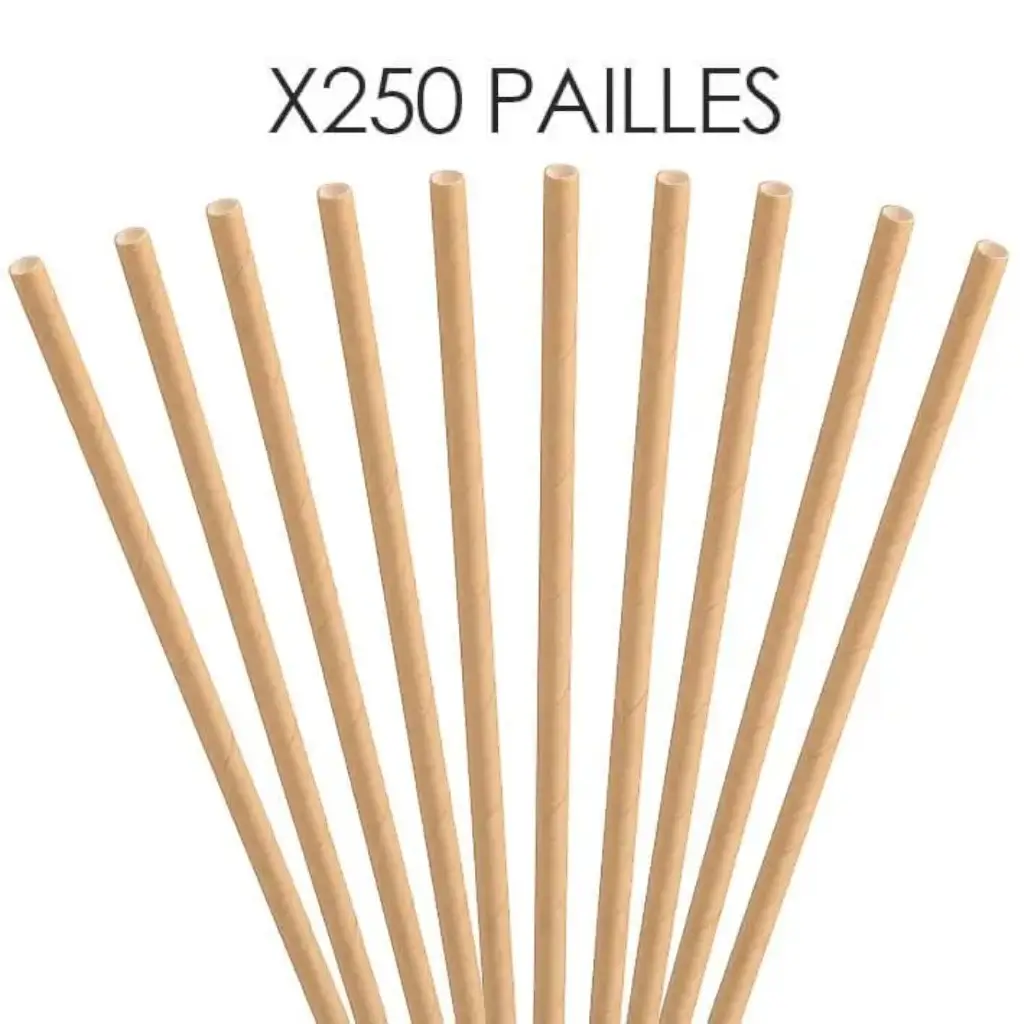 Kraftpapier rietje 20cm /ø6mm (250 stuks)