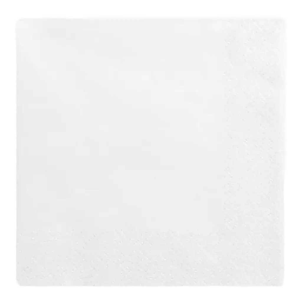 Witte papieren handdoek (set van 20)