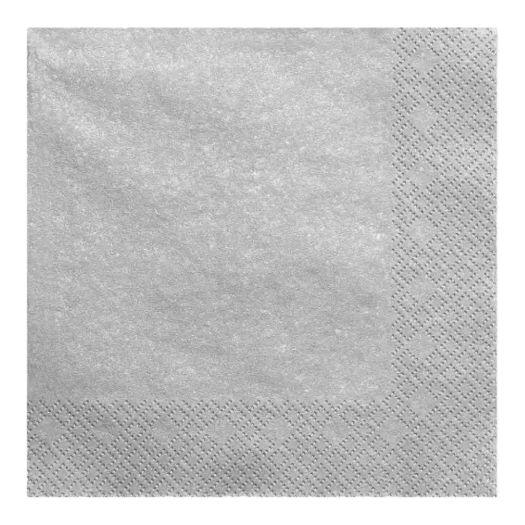 Zilver/zilver papieren handdoek (Set van 20)