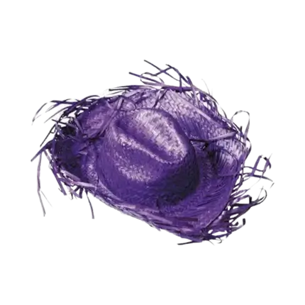 Caribische Cowboyhoed Paars