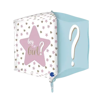 Gender Reveal 4D Vierkante Ballon 38cm