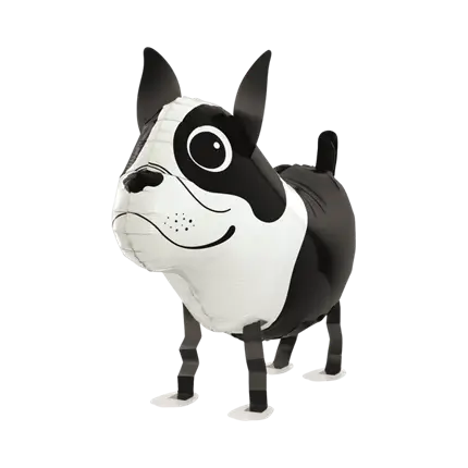 Ballon Boston Terrier 48cm