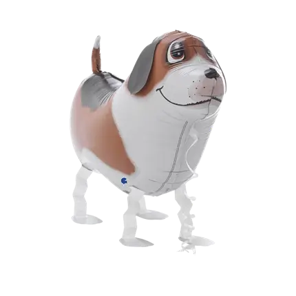 Bobby De Hond ballon