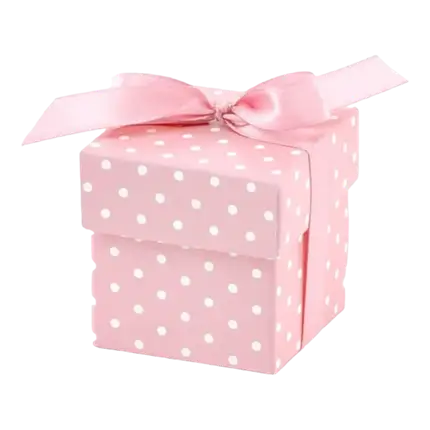 Het is een papieren meisjesdoos (10 stuks),