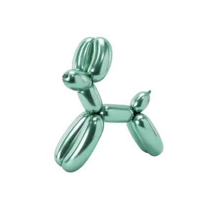 Set van 30 metalen ballonnen om te modelleren + pomp