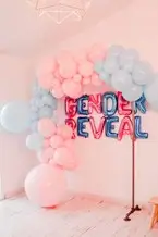 Gender Reveal Balloon Arch Blauw/Roze
