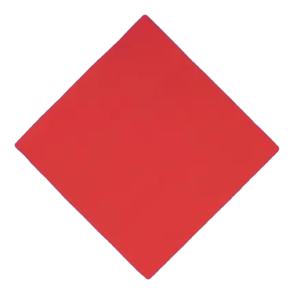 Stitch to Stitch Handdoek 38x38cm Rood (Set van 40)