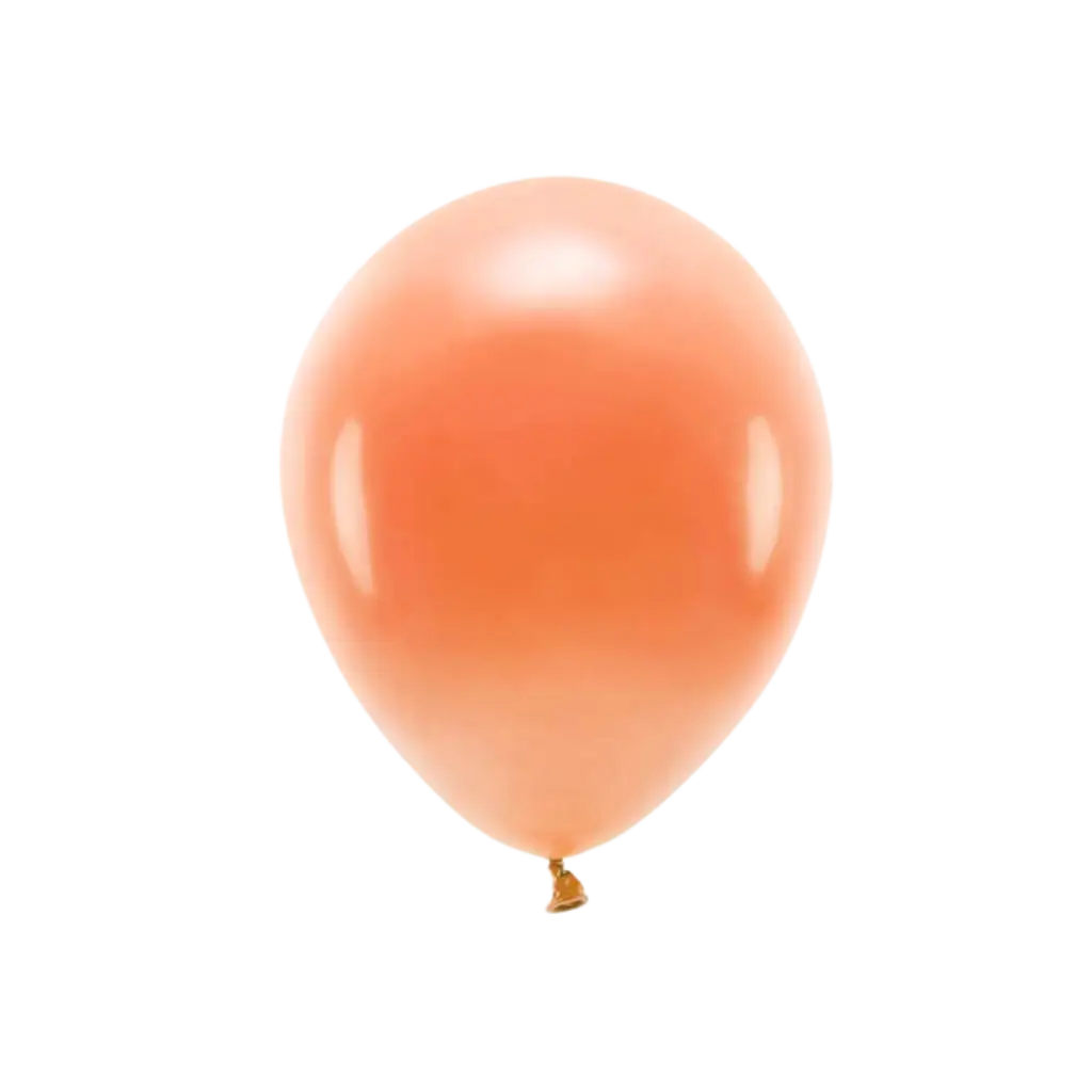 Set van 10 oranje biologisch afbreekbare ballonnen