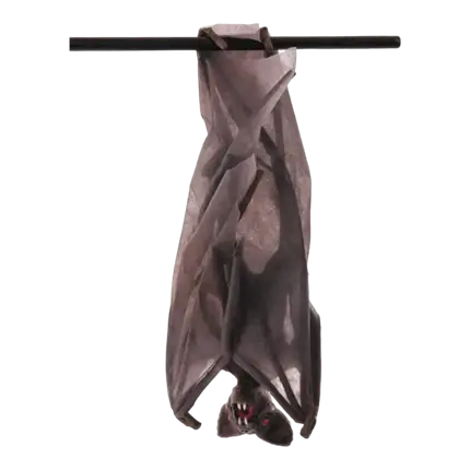 VLEERMUIS MET GEVOUWEN VLEUGELS - 52 X 24 X 15 CM