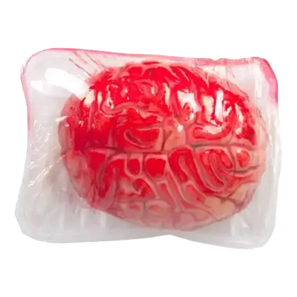 HERSENEN XL IN BAKJE - 16 X 12 CM