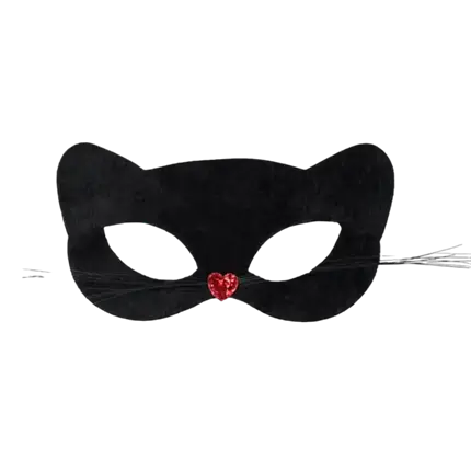 Zwarte Kat Wolf met Snorharen