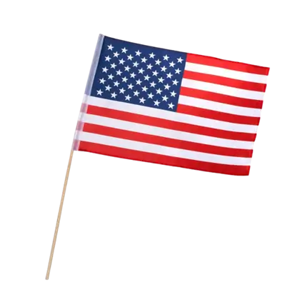 Amerikaanse vlag met staf (30x45cm)