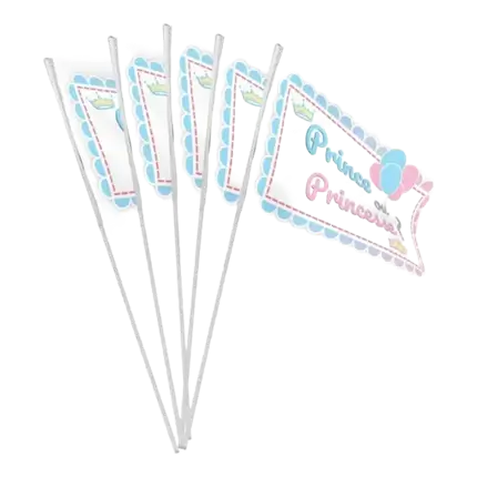 10 VLAGEN MET STOK - PRINCE OF PRINCESS - 9.2x16cm