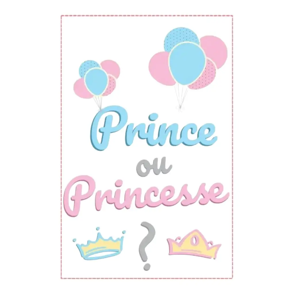 Papieren wimpelslinger "Prins of Prinses? - 5m