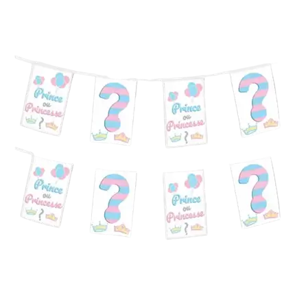 Papieren wimpelslinger Prins of Prinses? - 5m