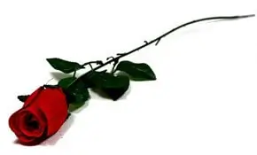 Kunstbloem type Roos met steel