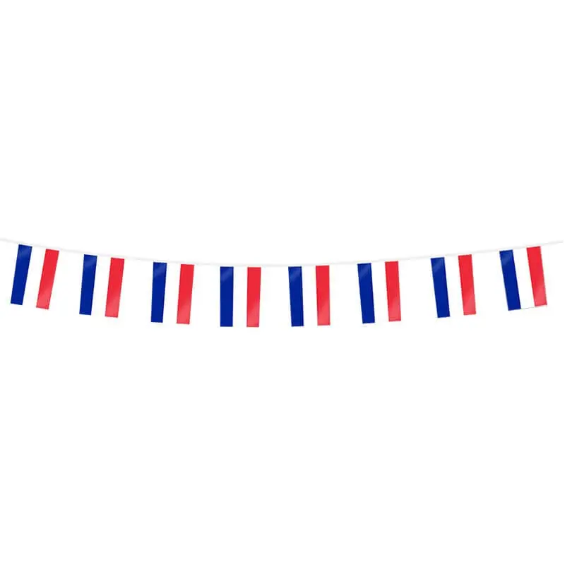 Frankrijk vlaggenslinger - 20 vlaggen - 10 meter - 20x30cm
