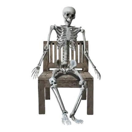 REUSACHTIG SKELET - MENSELIJKE MAAT - 160CM