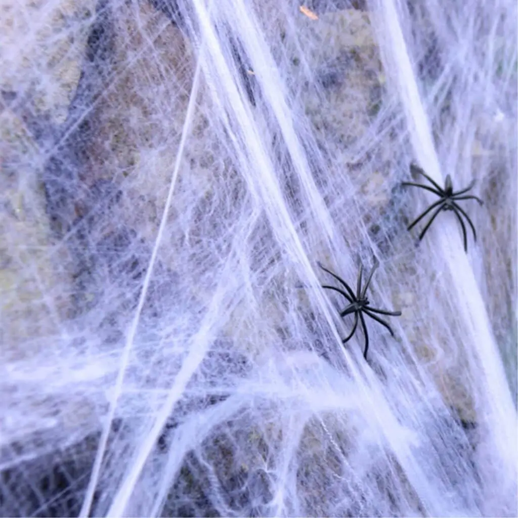 Spinnenweb 300g en 4 spinnen