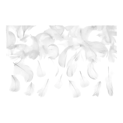 Decoratieve veer - Wit - 3g