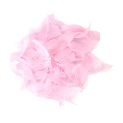 Decoratieve veer - Lichtroze - 3g