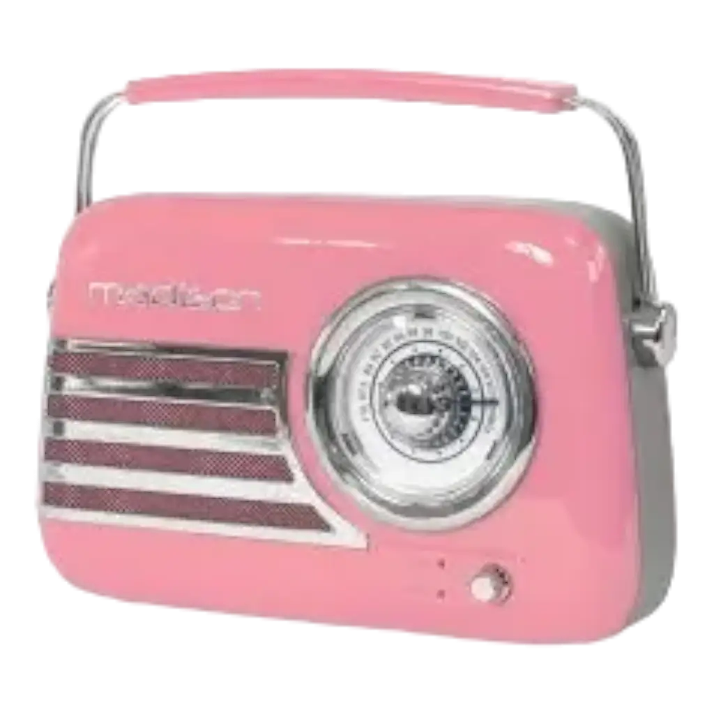 Vintage Standalone Radio met Bluetooth USB & FM 30W Roze