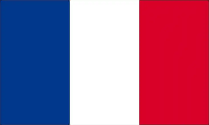 Frankrijk Tricolore Vlag 60x90cm met schede