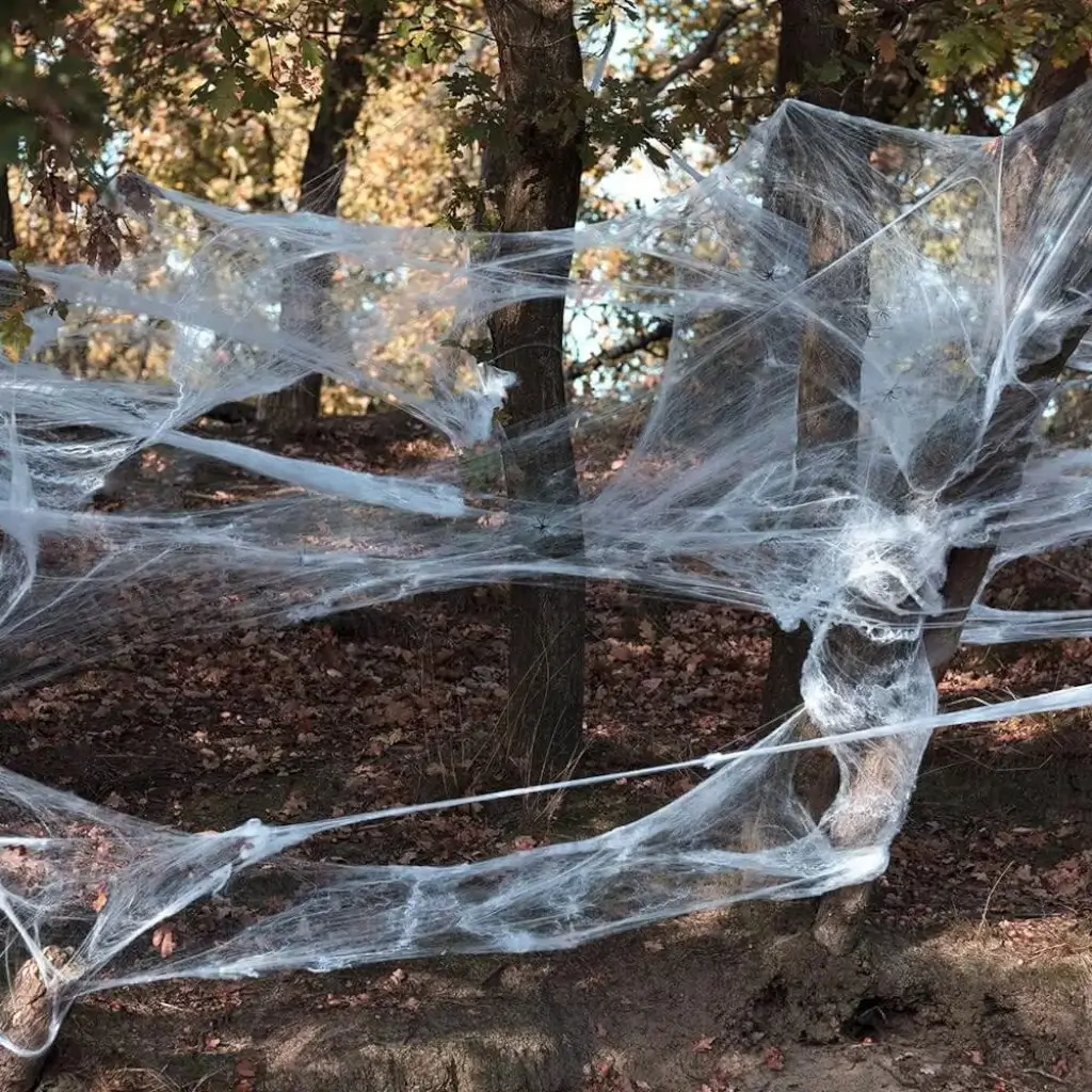 Wit spinnenweb met spinnen Halloween Decoratie