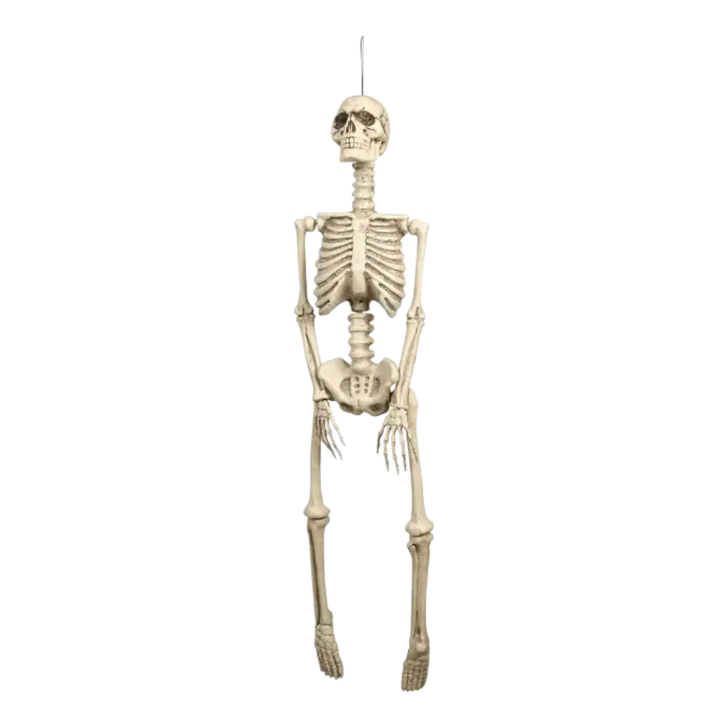 92cm Hangend Skelet voor Halloween Decoratie