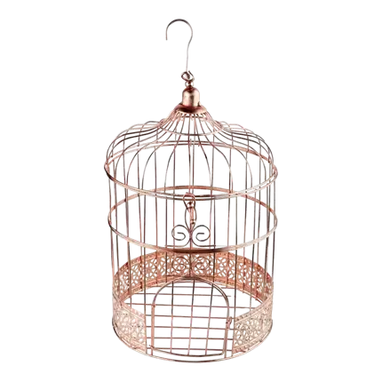 Cage Spaarpot Metallic Roze