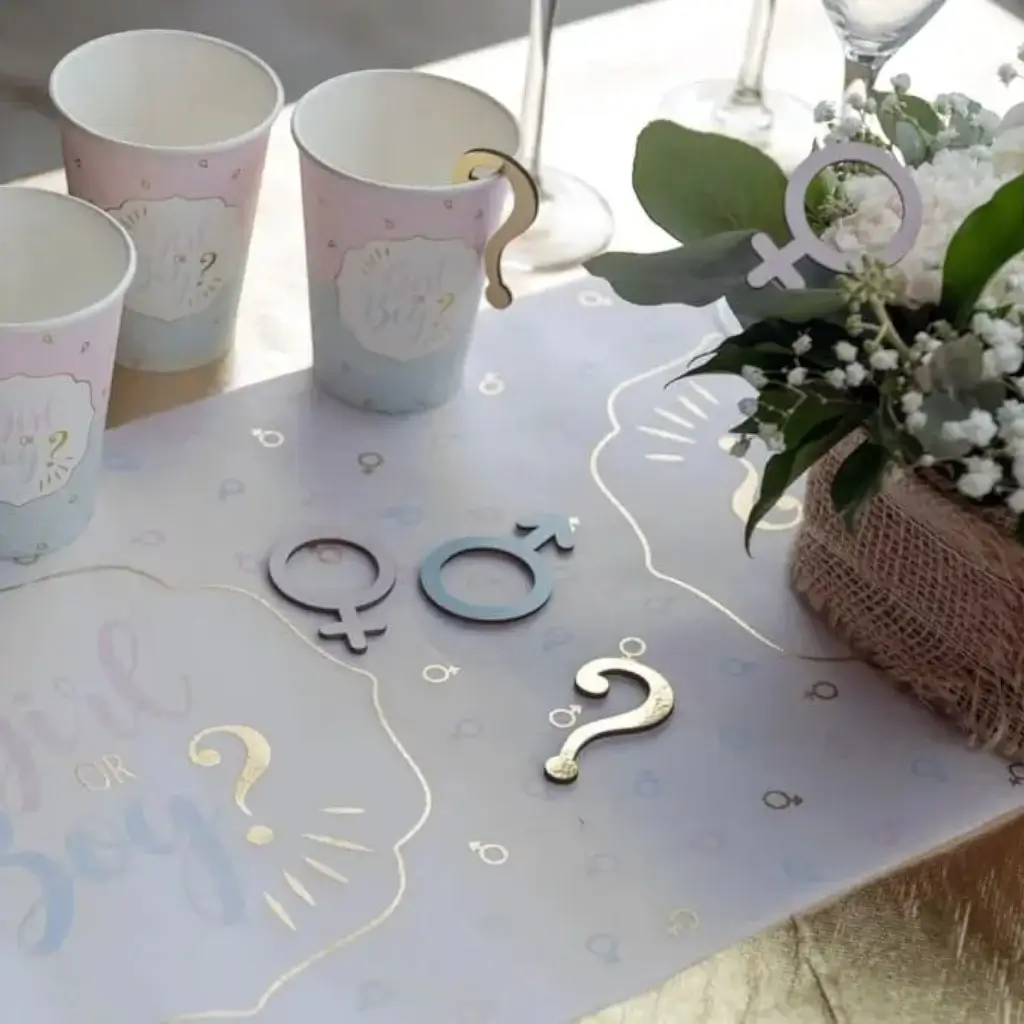 Gender Reveal Meisje of Jongen Tumbler 27cl - Set van 10