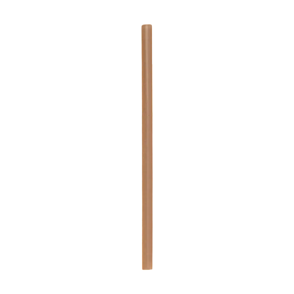Plantaardig cocktailrietje 20cm ø6mm 100% biologisch afbreekbaar (verpakking van 250)