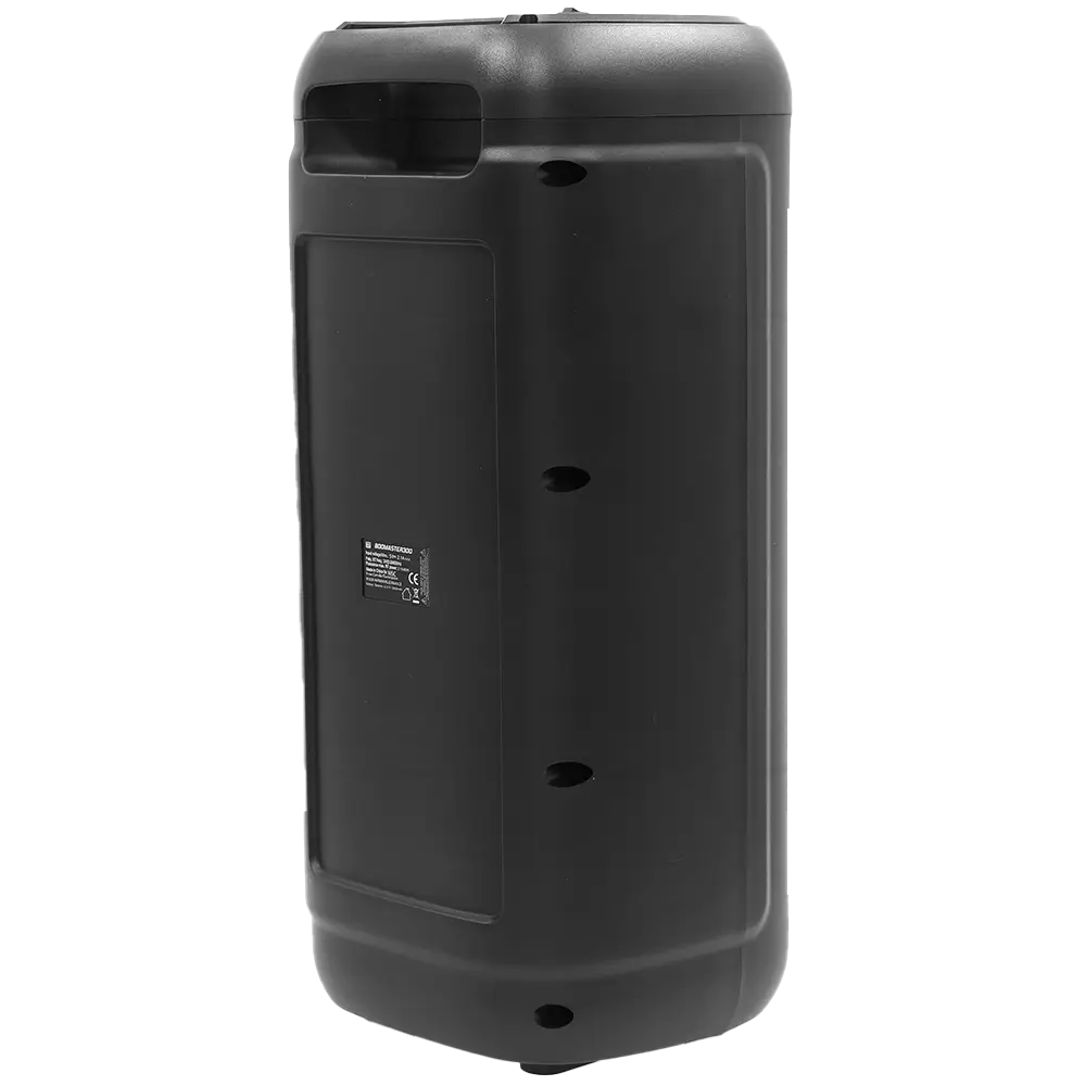 BOOMaster 300' draagbare acculuidspreker - 250W met Bluetooth, LED