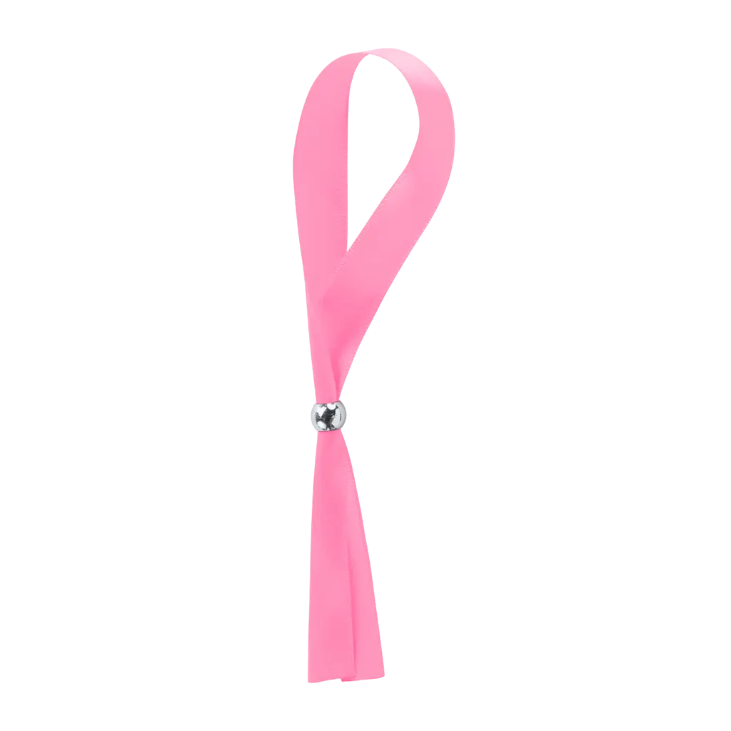 Verstelbare polsband met veiligheidsslot