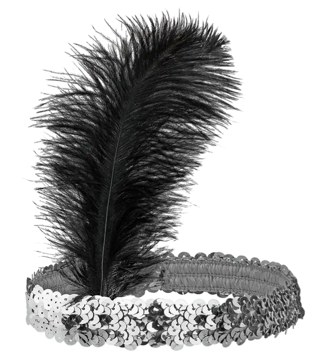 "ZILVEREN GLITTER HOOFDBAND MET VEREN