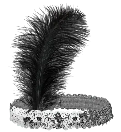 ZILVEREN GLITTER HOOFDBAND MET VEREN