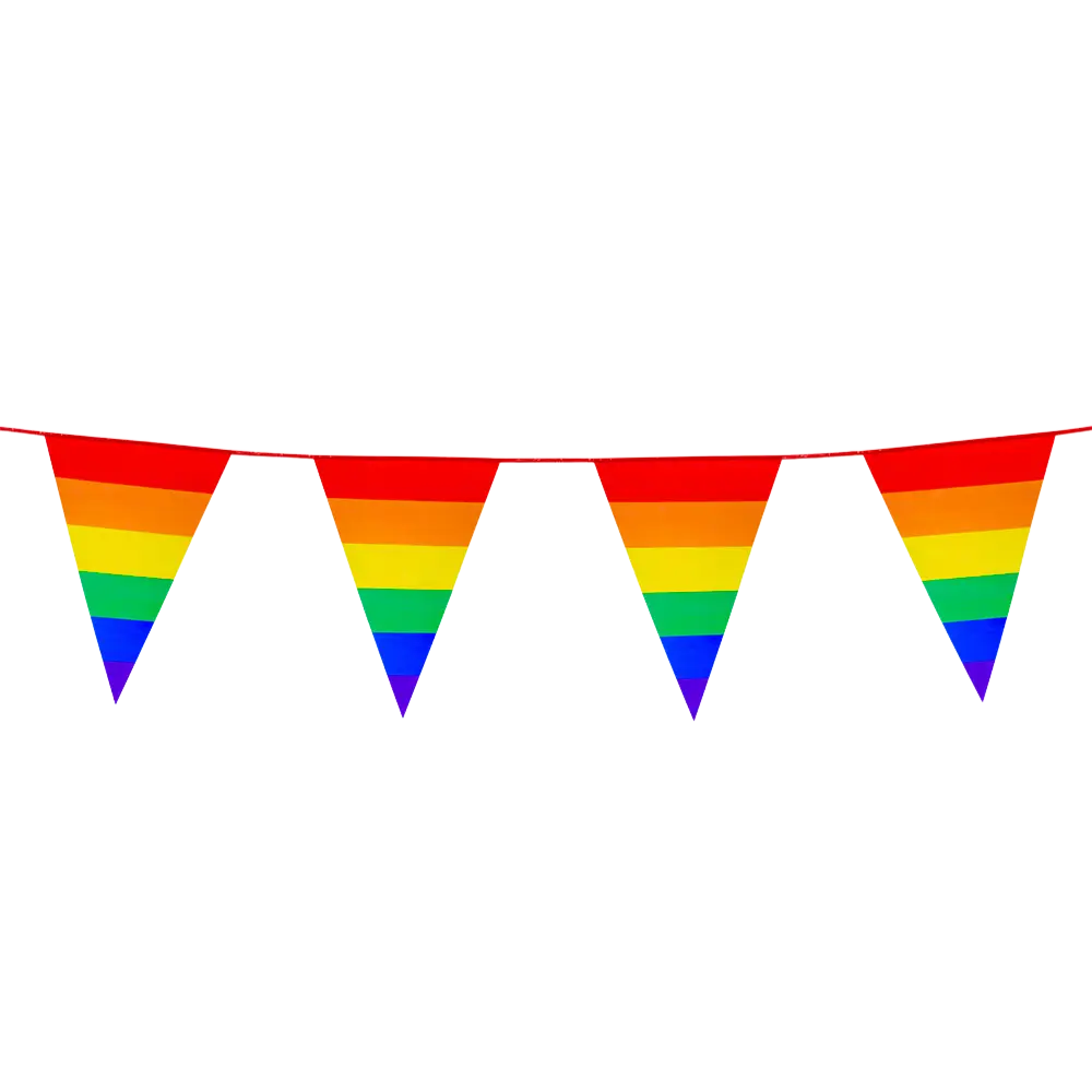 PE Regenboog wimpelslinger