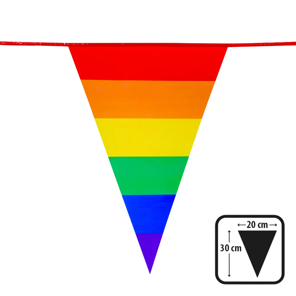 PE Regenboog wimpelslinger