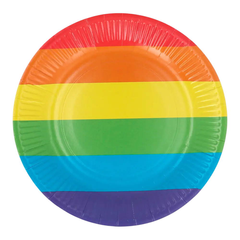 Set van 8 papieren bordjes Rainbow 23cm