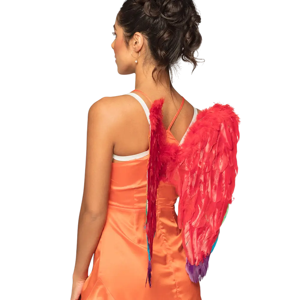 Engelenvleugels Goddelijke regenboog 50x50cm